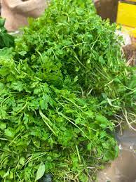  
                                          चमसूरको साग                      